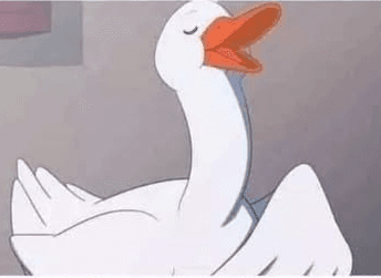 El Ganso, Mascota Oficial de La Tienda